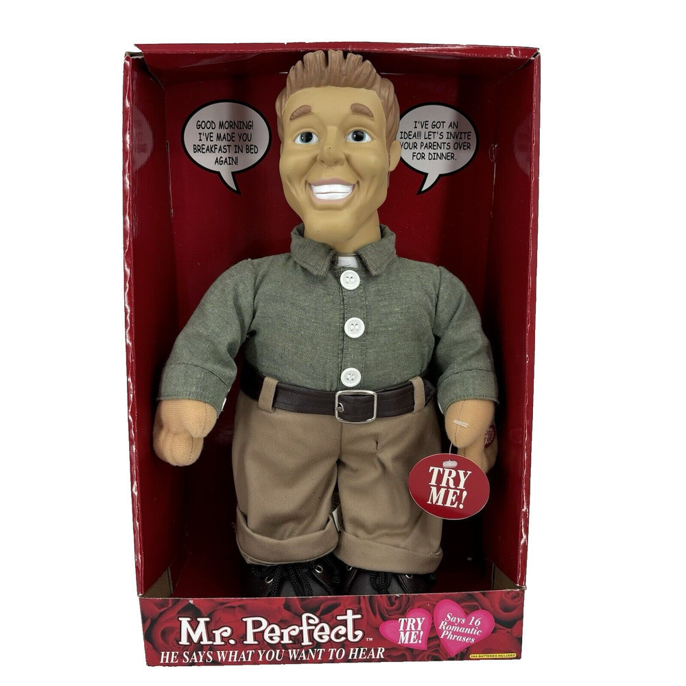 DanDee Mr Perfect Talking Doll 16 Romantic Phrases He Says What You Want to Hear